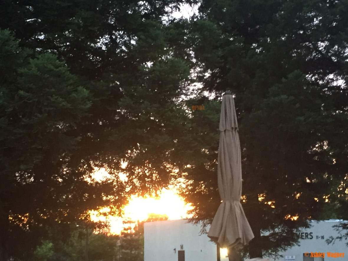 Photo May 06, 8 00 29 PM