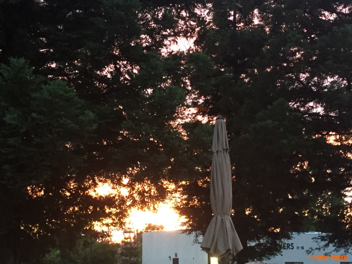 Photo May 06, 8 07 39 PM