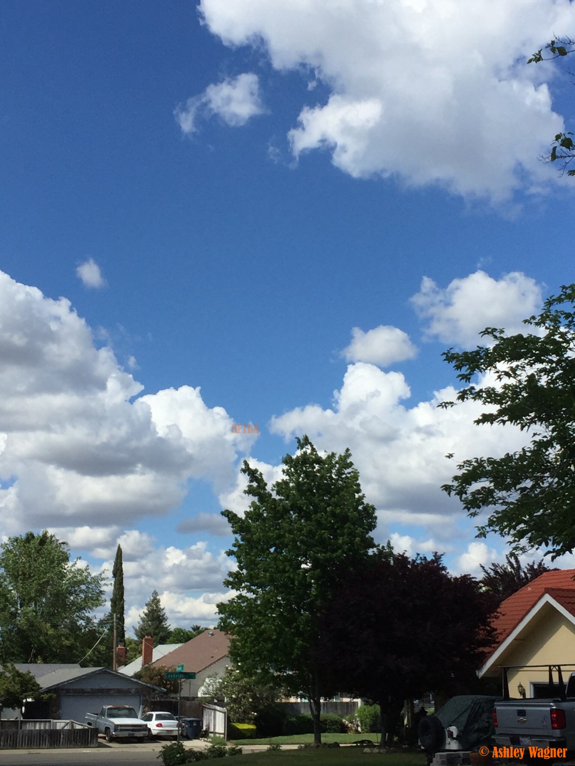 Photo May 14, 4 06 20 PM