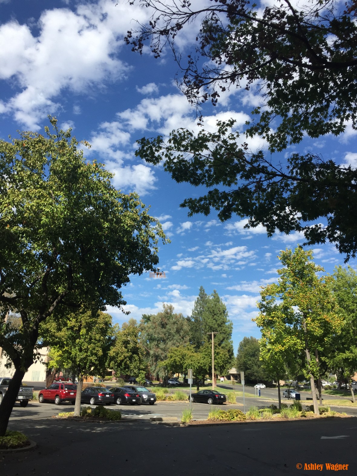 photo-aug-04-4-54-25-pm