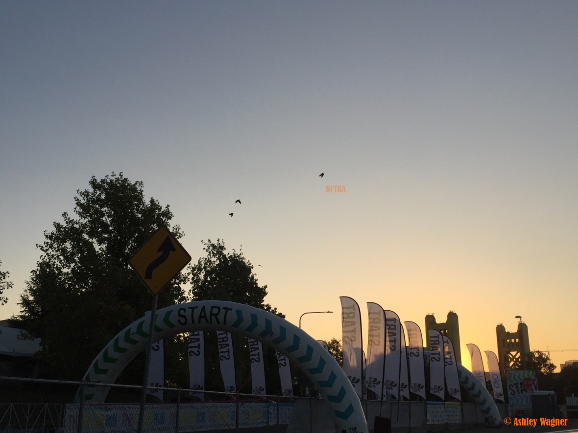 photo-aug-06-6-31-46-am