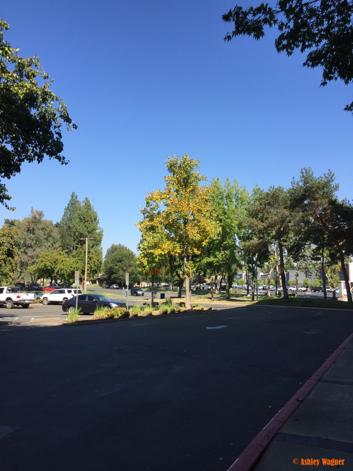 photo-aug-15-4-31-49-pm