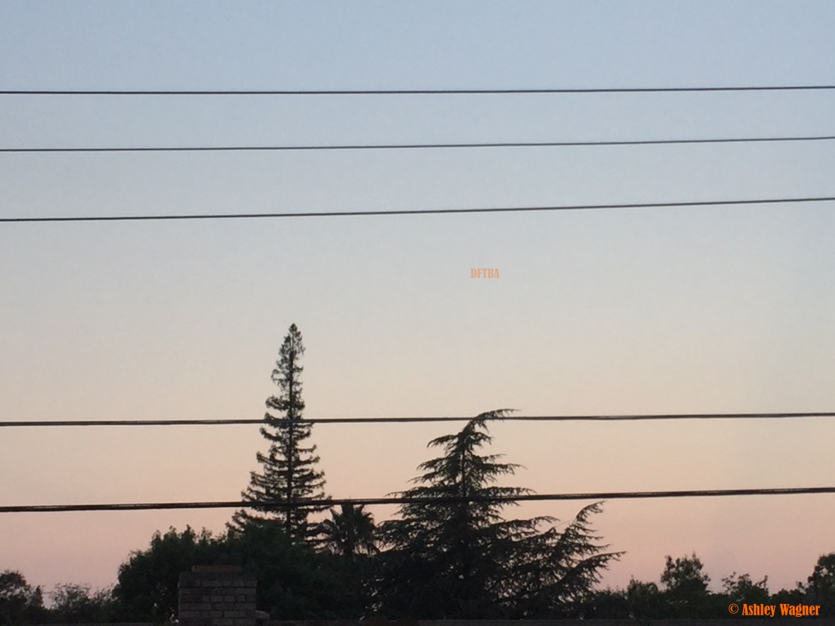 photo-aug-21-7-49-40-pm