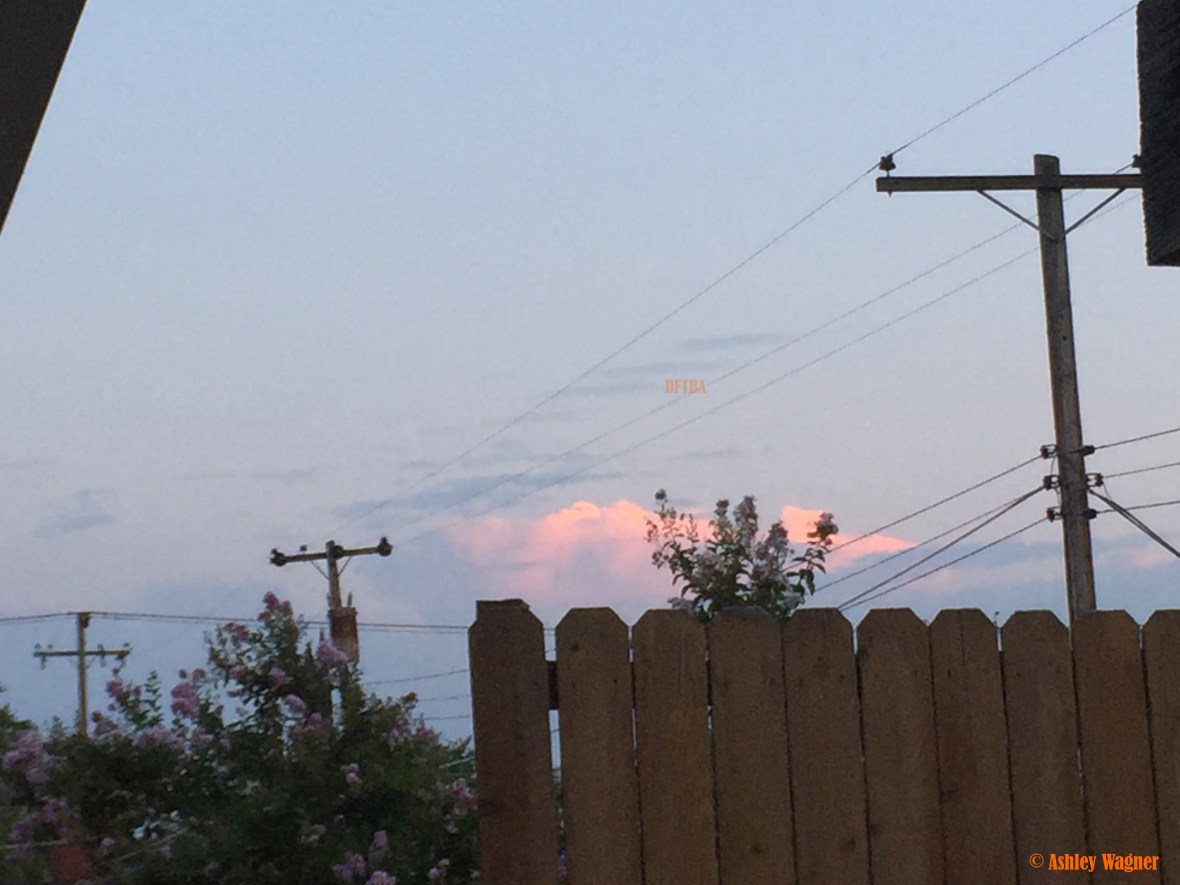 photo-aug-21-7-49-50-pm