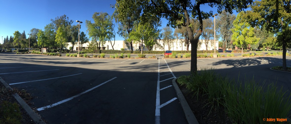 photo-aug-30-5-50-50-pm