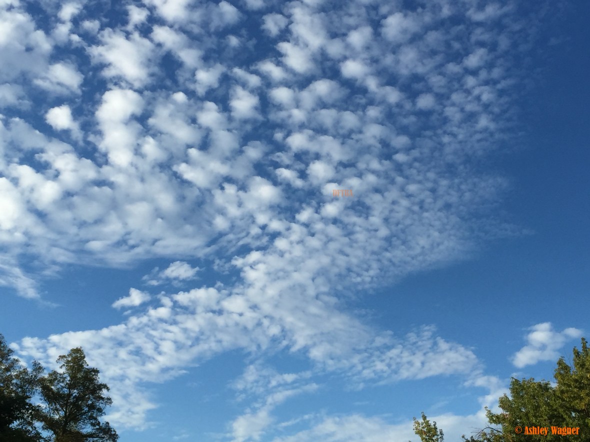 photo-aug-30-7-31-32-am