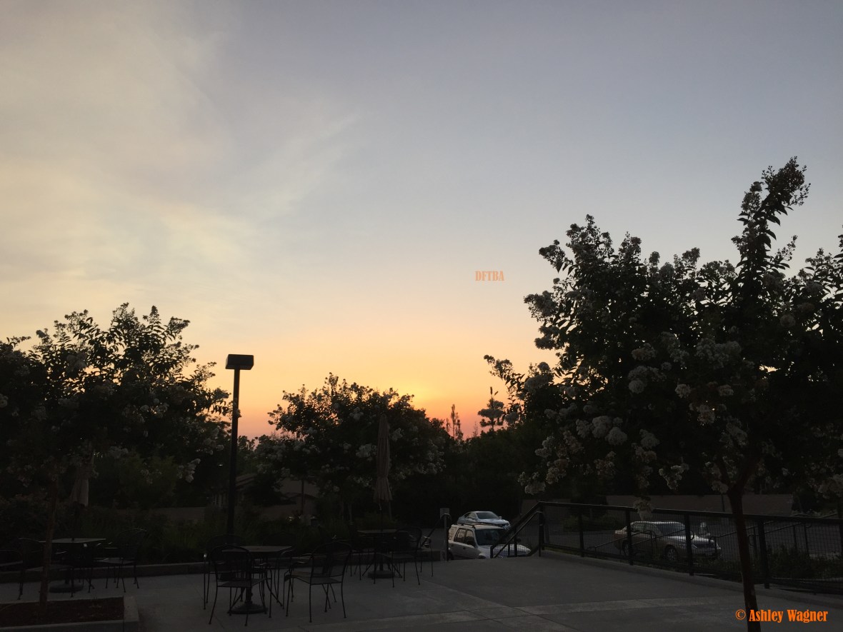 photo-jul-27-8-07-24-pm