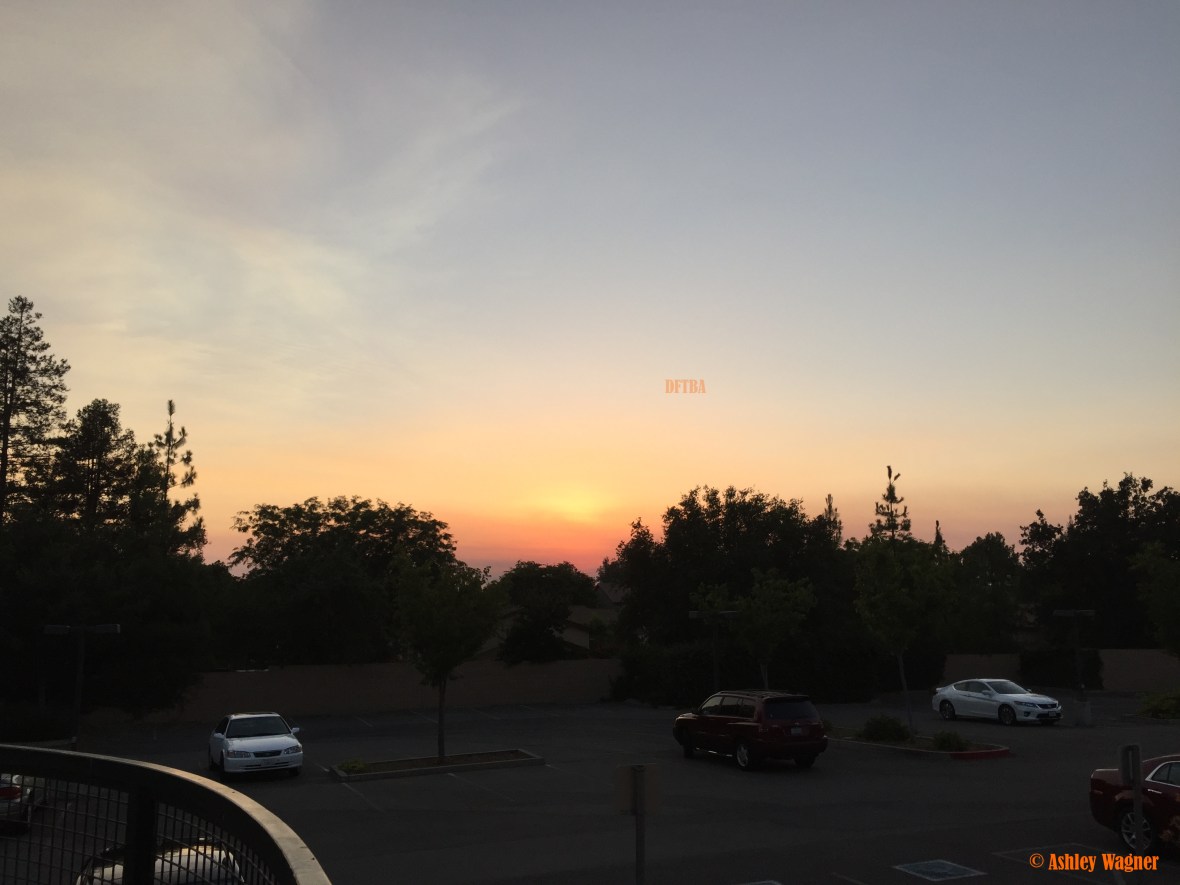 photo-jul-27-8-07-44-pm