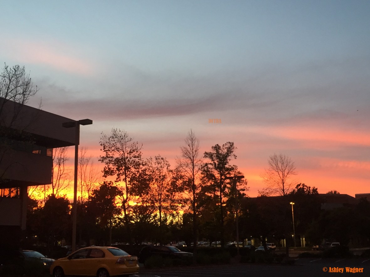 photo-nov-07-5-09-46-pm