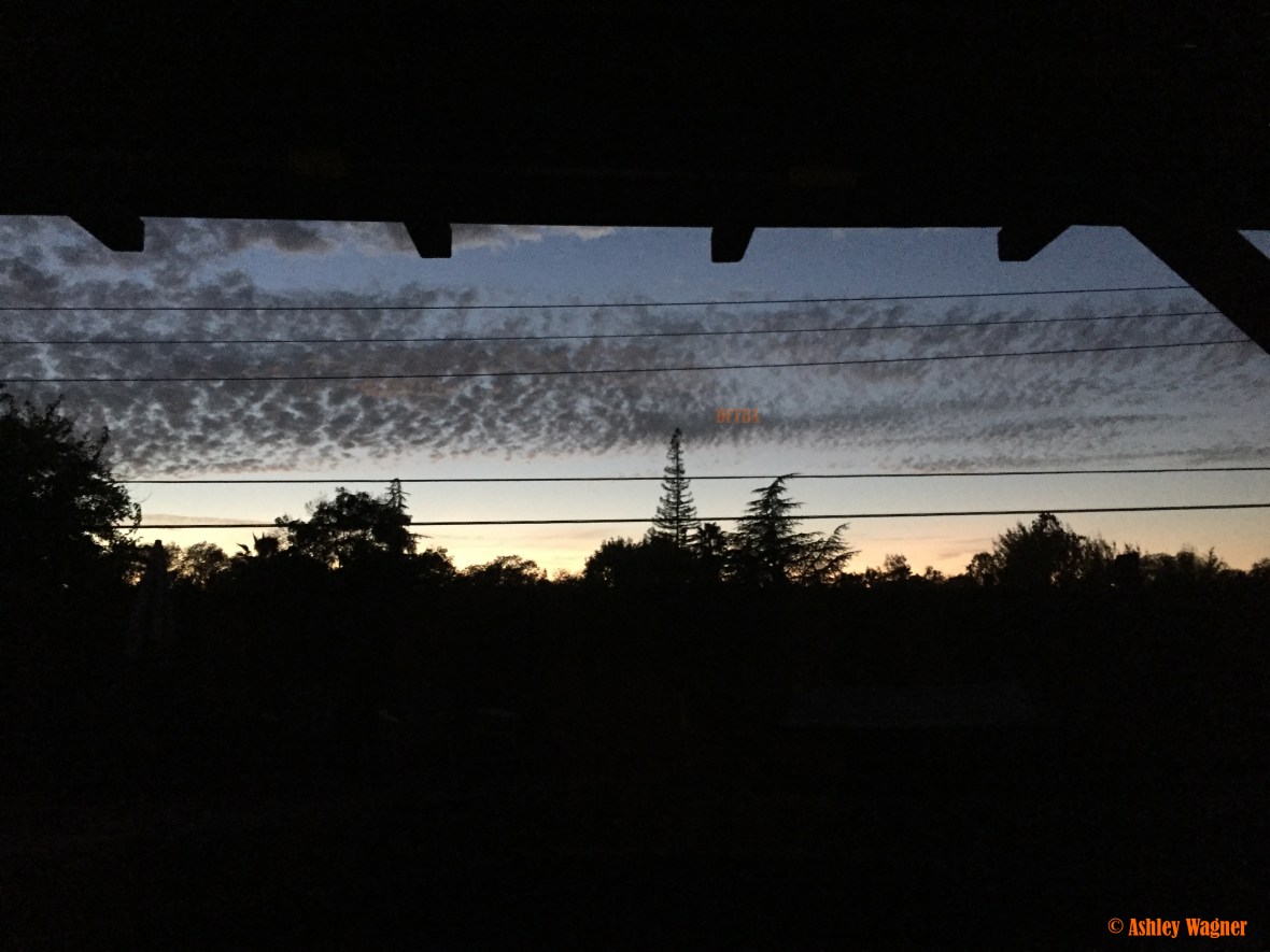 photo-nov-09-5-28-10-pm