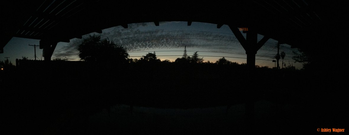 photo-nov-09-5-28-32-pm