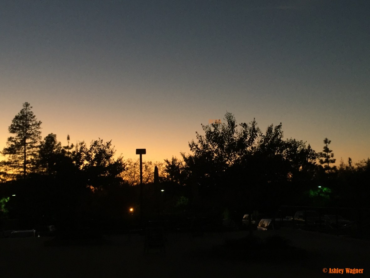 photo-nov-13-5-20-41-pm