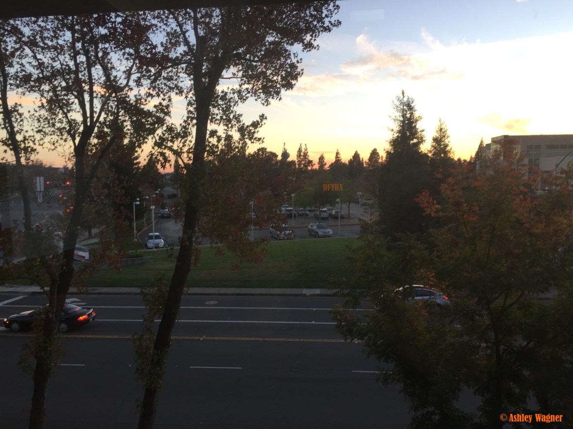 photo-nov-17-4-49-43-pm