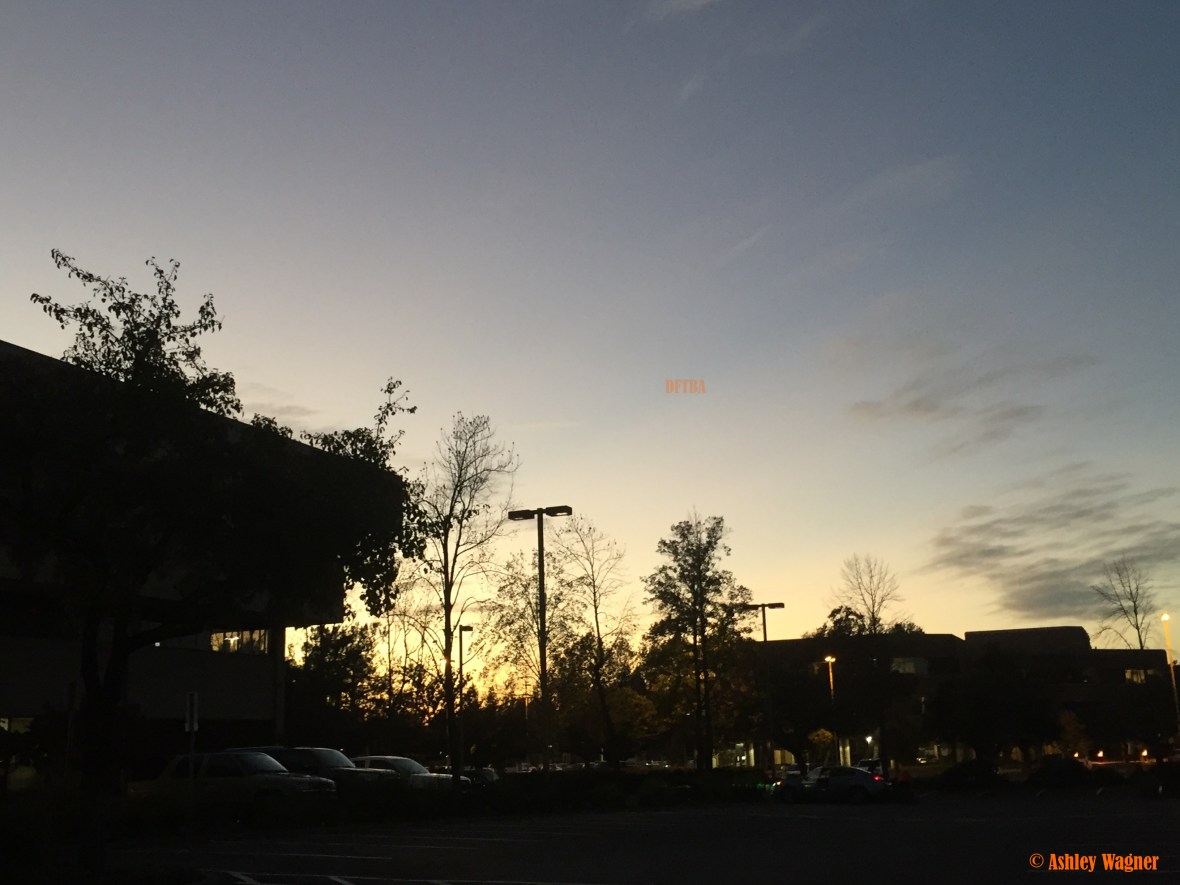 photo-nov-17-5-12-26-pm