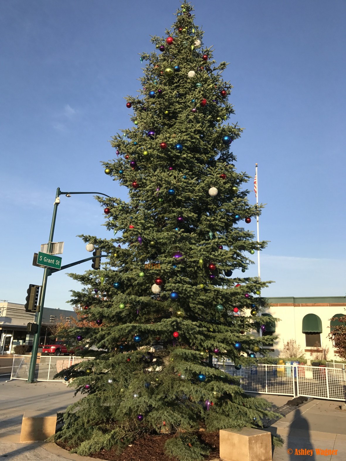 photo-nov-24-7-50-19-am