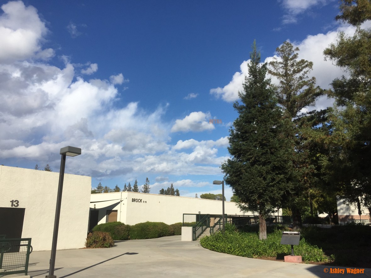 photo-oct-02-4-16-31-pm