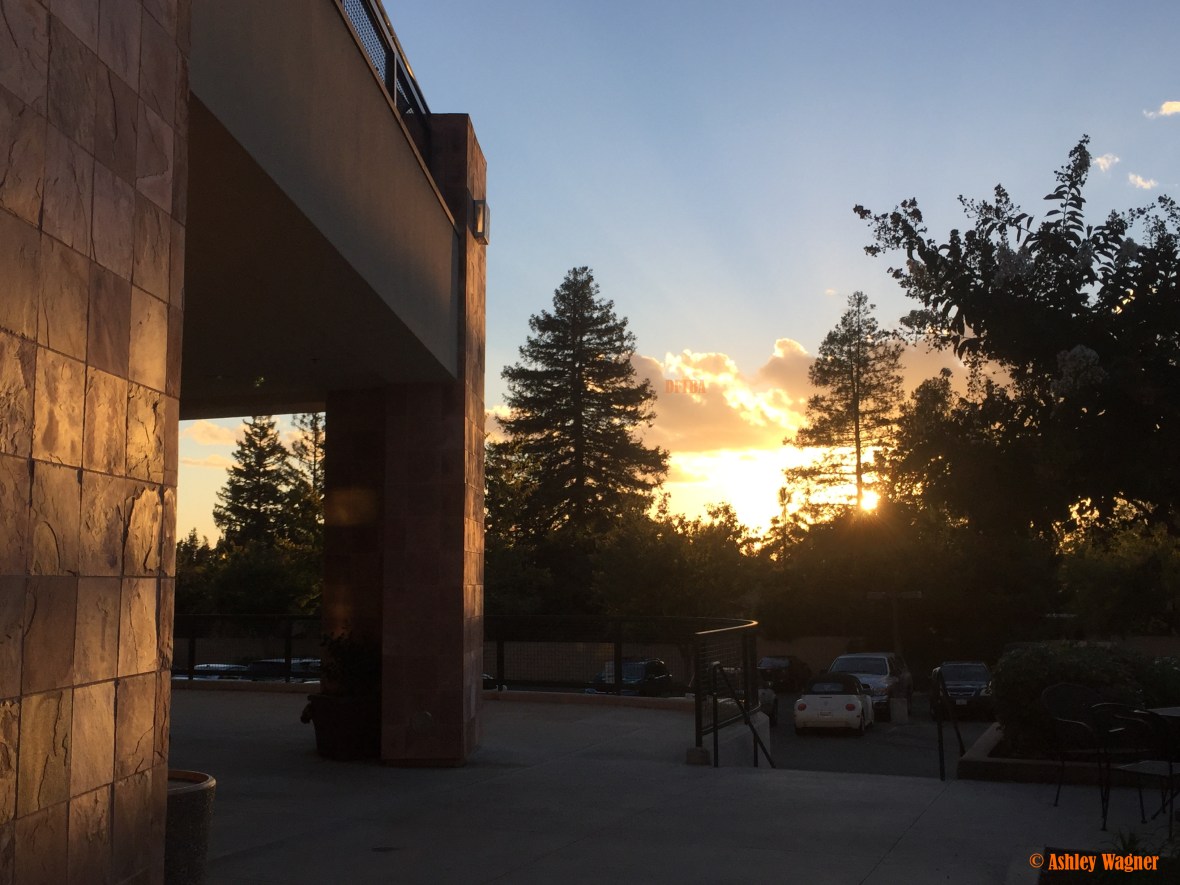 photo-oct-02-6-25-17-pm