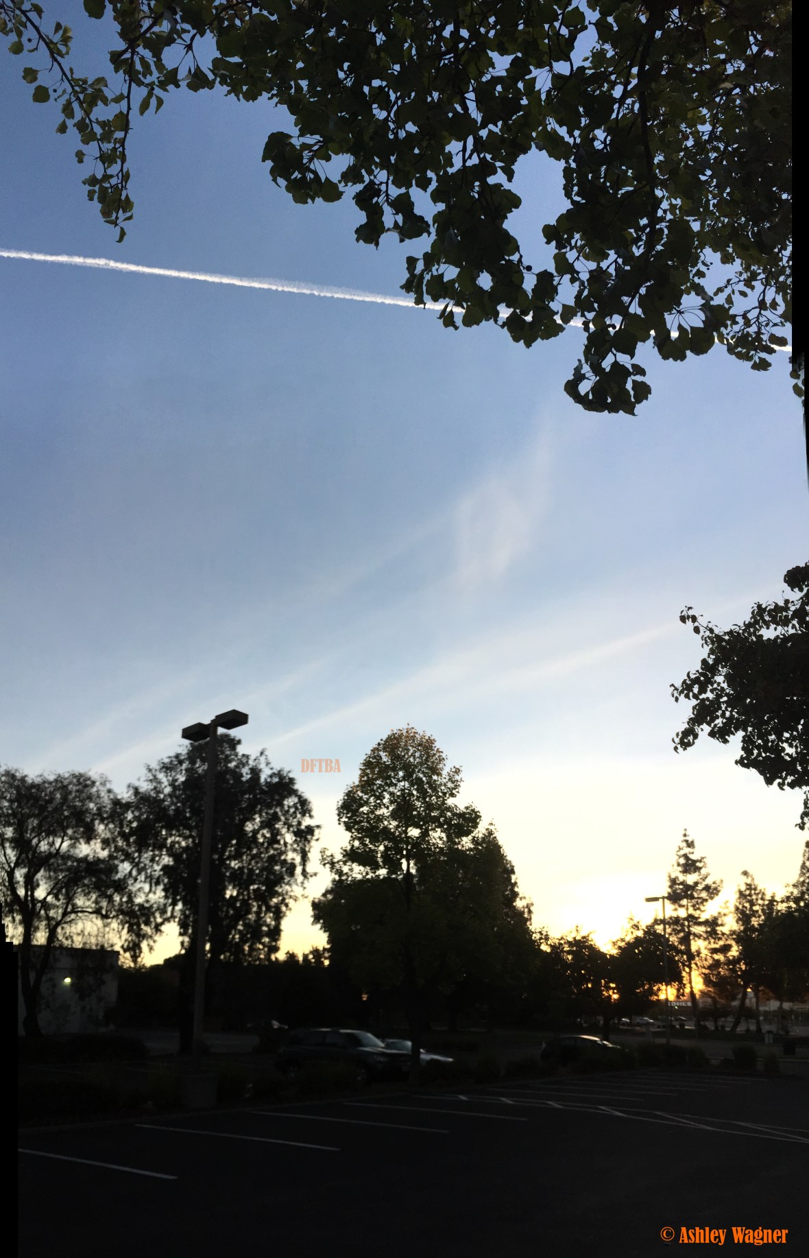 photo-oct-07-7-18-13-am