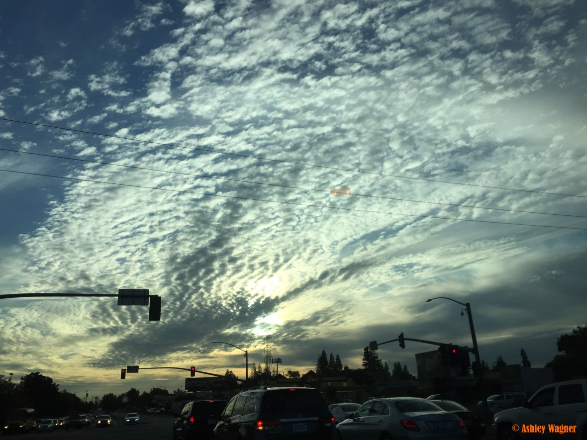 photo-oct-10-7-59-20-am