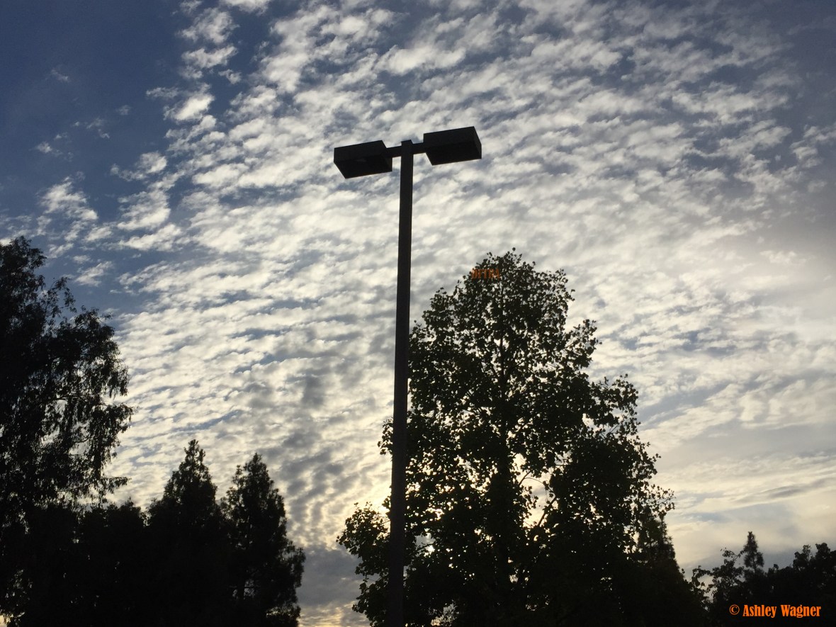 photo-oct-10-8-02-28-am