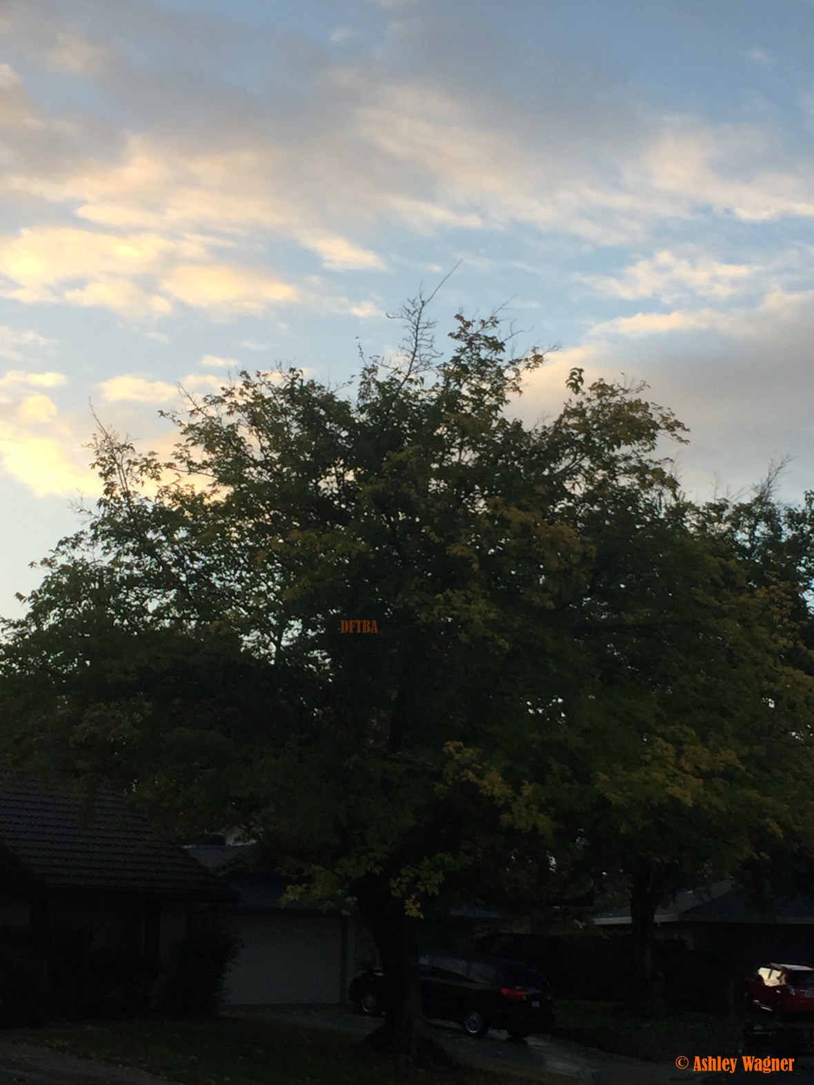 photo-oct-17-7-31-16-am