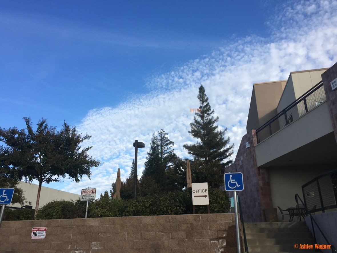 photo-oct-23-4-30-43-pm