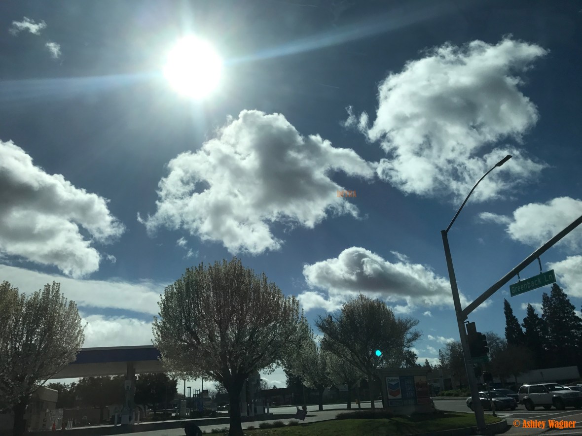 File Mar 05, 3 49 25 PM