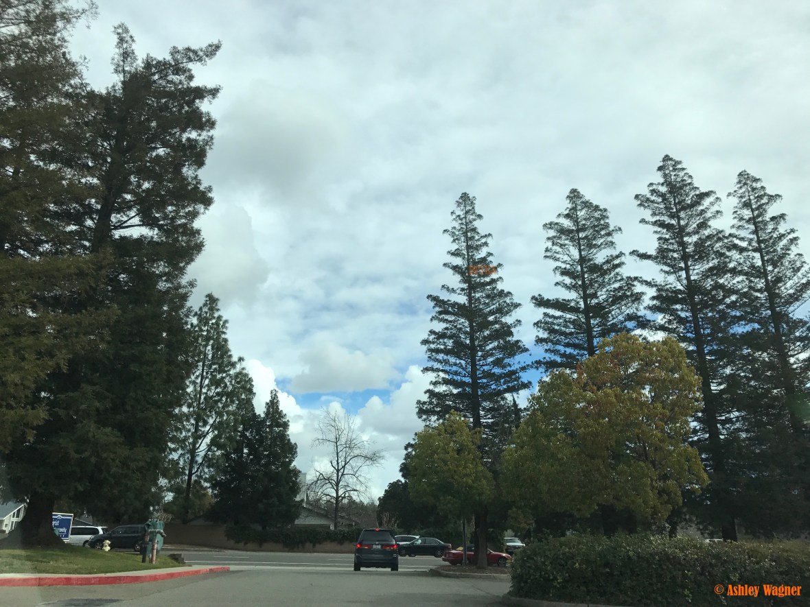 File Mar 05, 3 49 45 PM