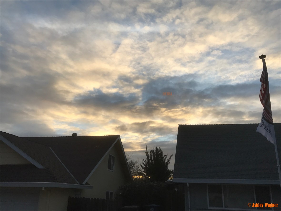 File Mar 07, 8 54 48 PM