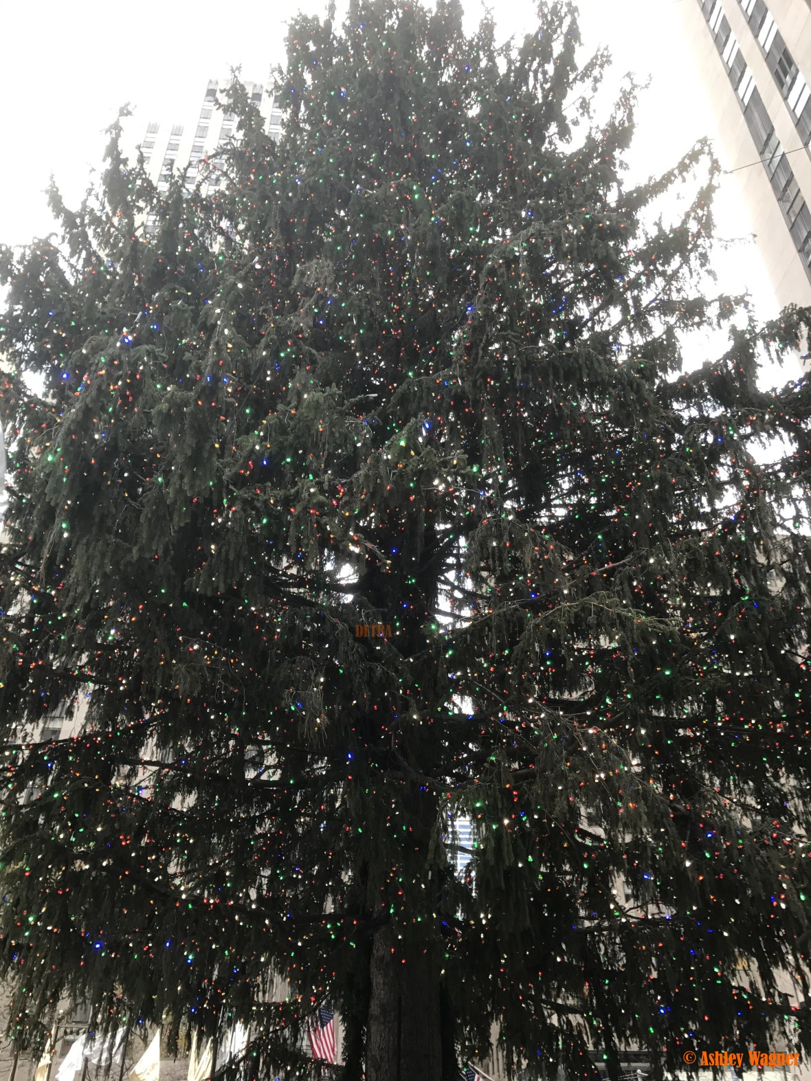 Photo Dec 02, 11 29 50 AM