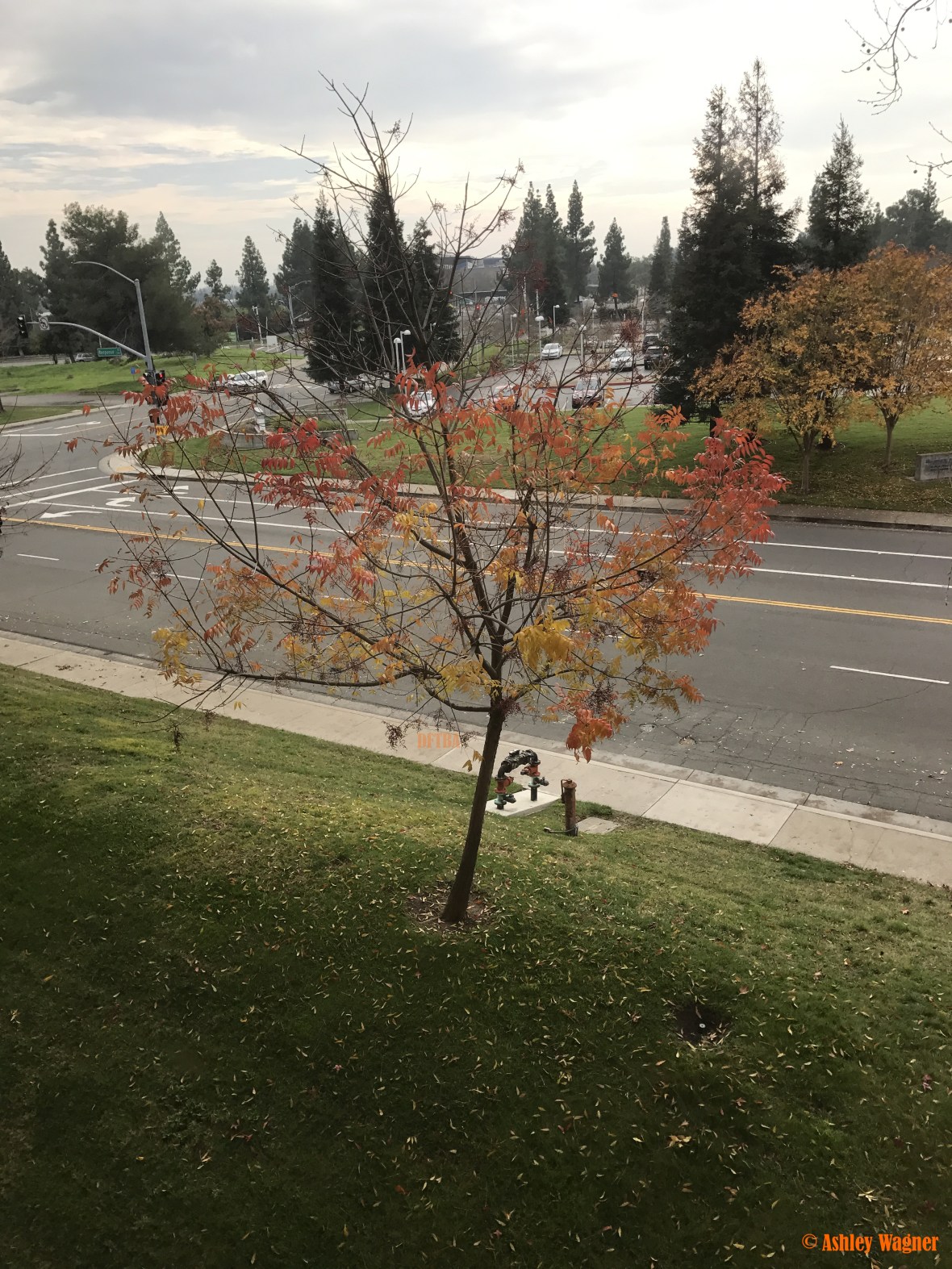 Photo Dec 13, 1 20 06 PM