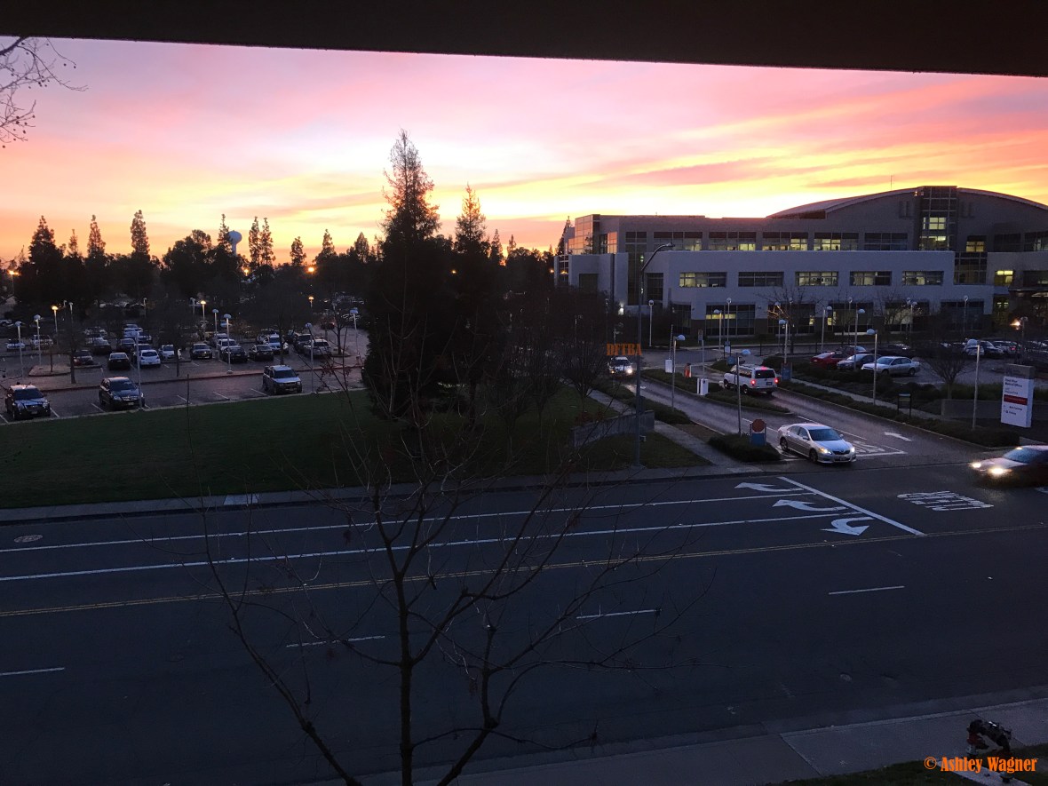 Photo Dec 19, 4 59 37 PM