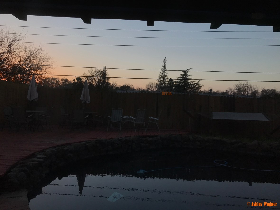 Photo Dec 30, 4 50 59 PM