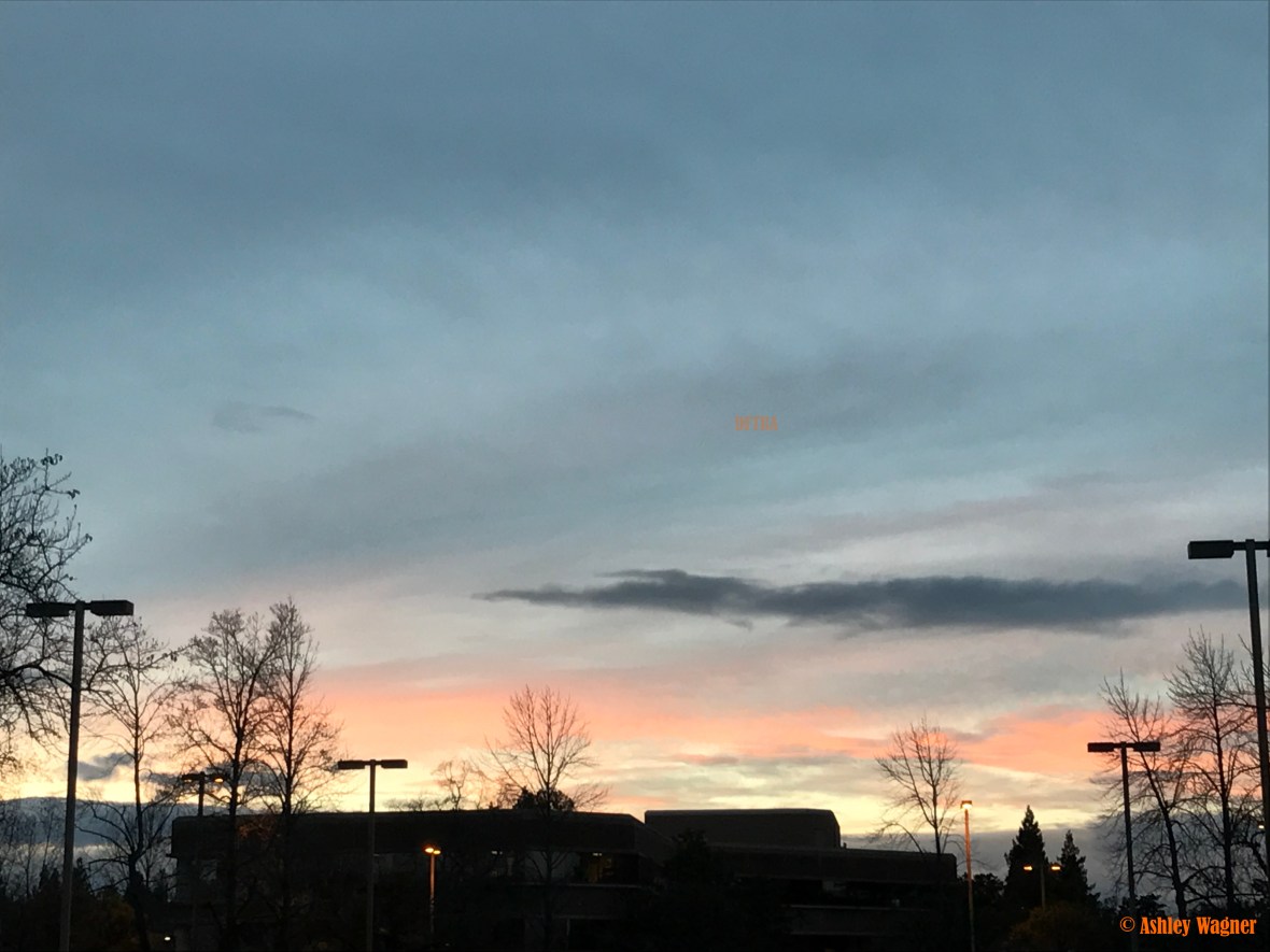 Photo Jan 11, 5 10 17 PM