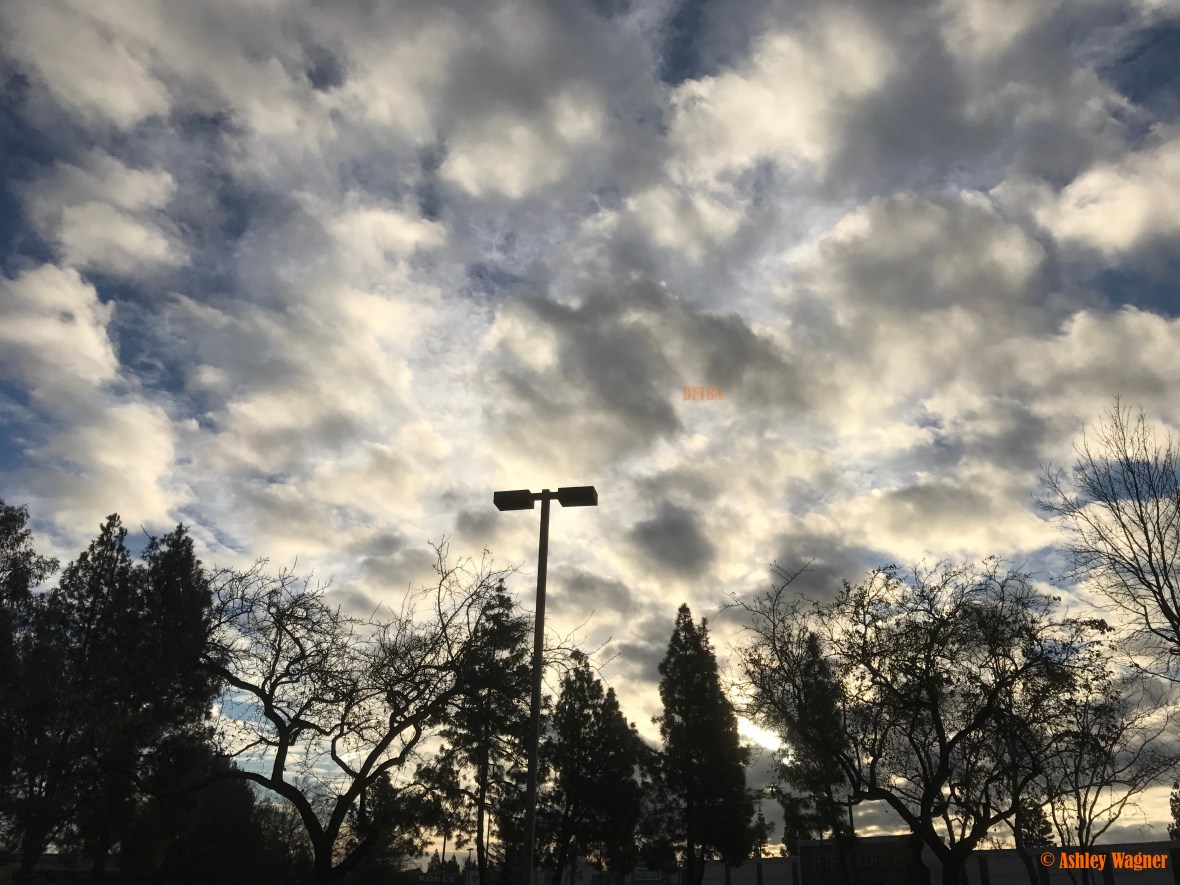 Photo Jan 24, 8 03 11 AM