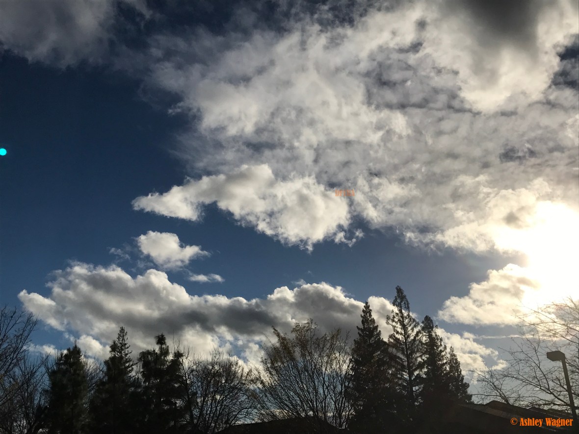 Photo Mar 05, 4 43 26 PM