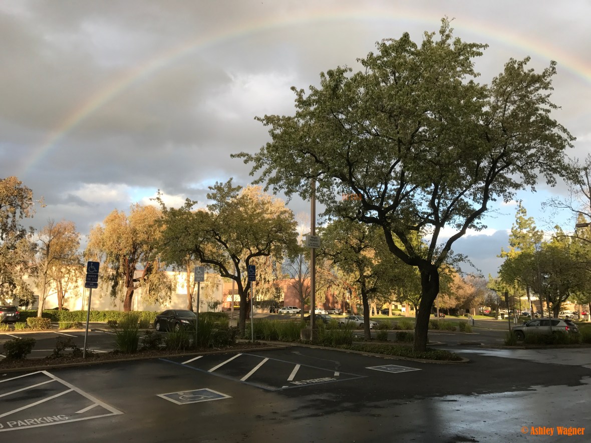 Photo Mar 06, 5 19 20 PM