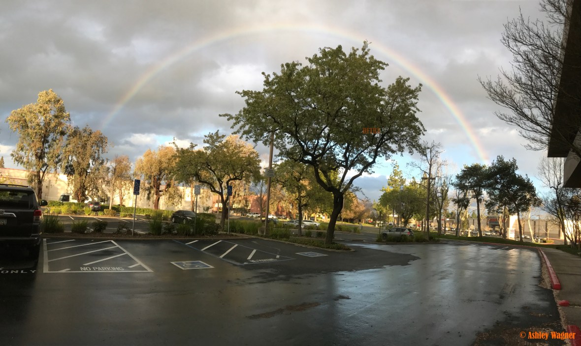 Photo Mar 06, 5 19 32 PM