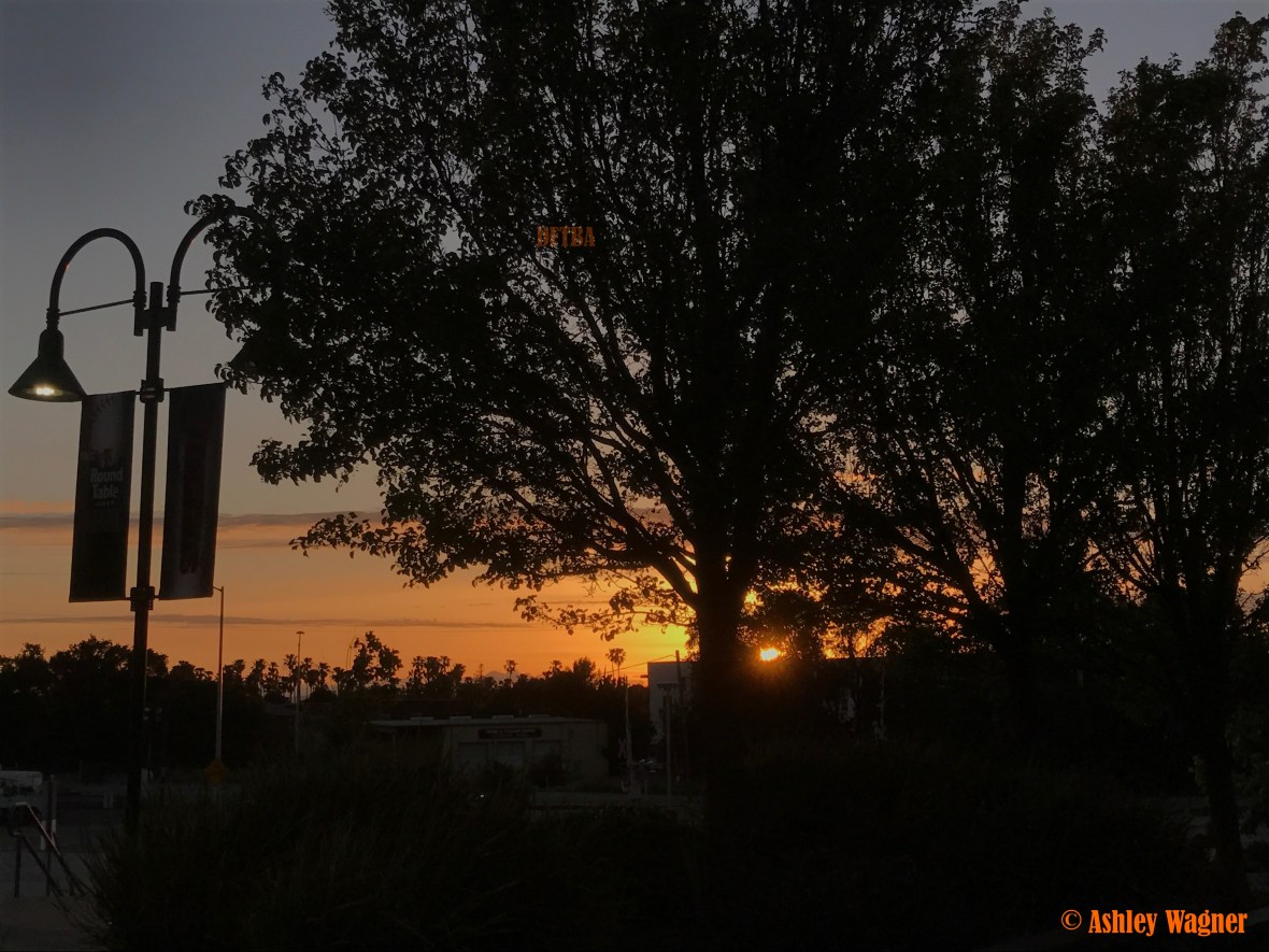 File May 13, 8 58 41 AM