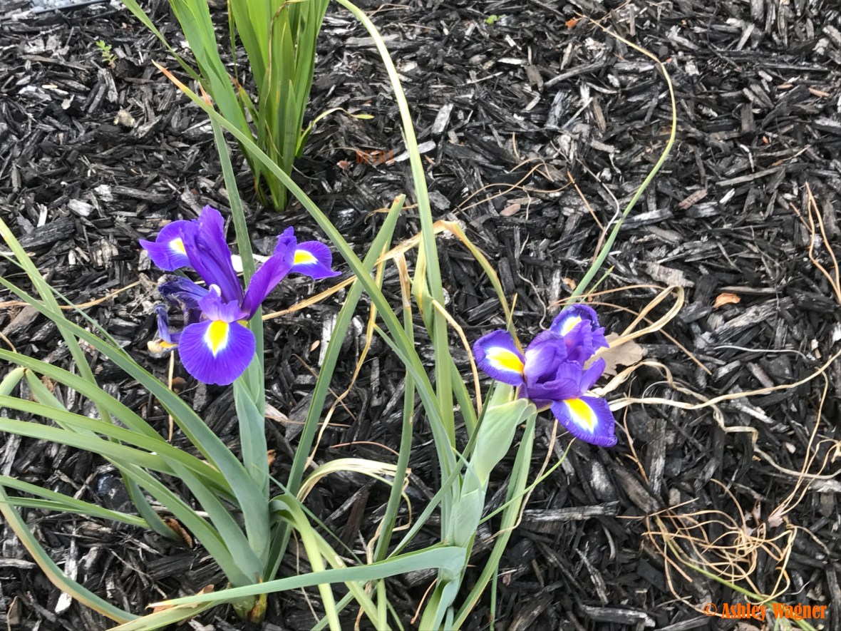 Photo Apr 10, 6 29 28 PM