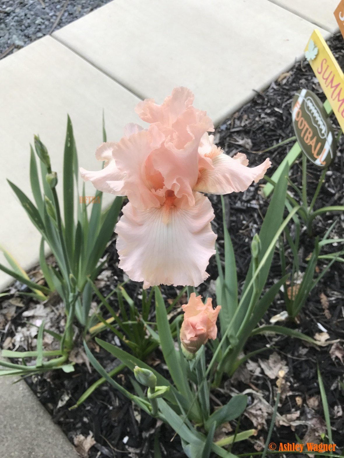 Photo Apr 10, 6 32 02 PM