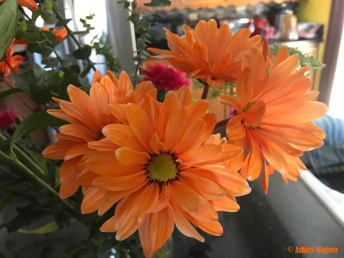 Photo Apr 15, 8 37 43 AM