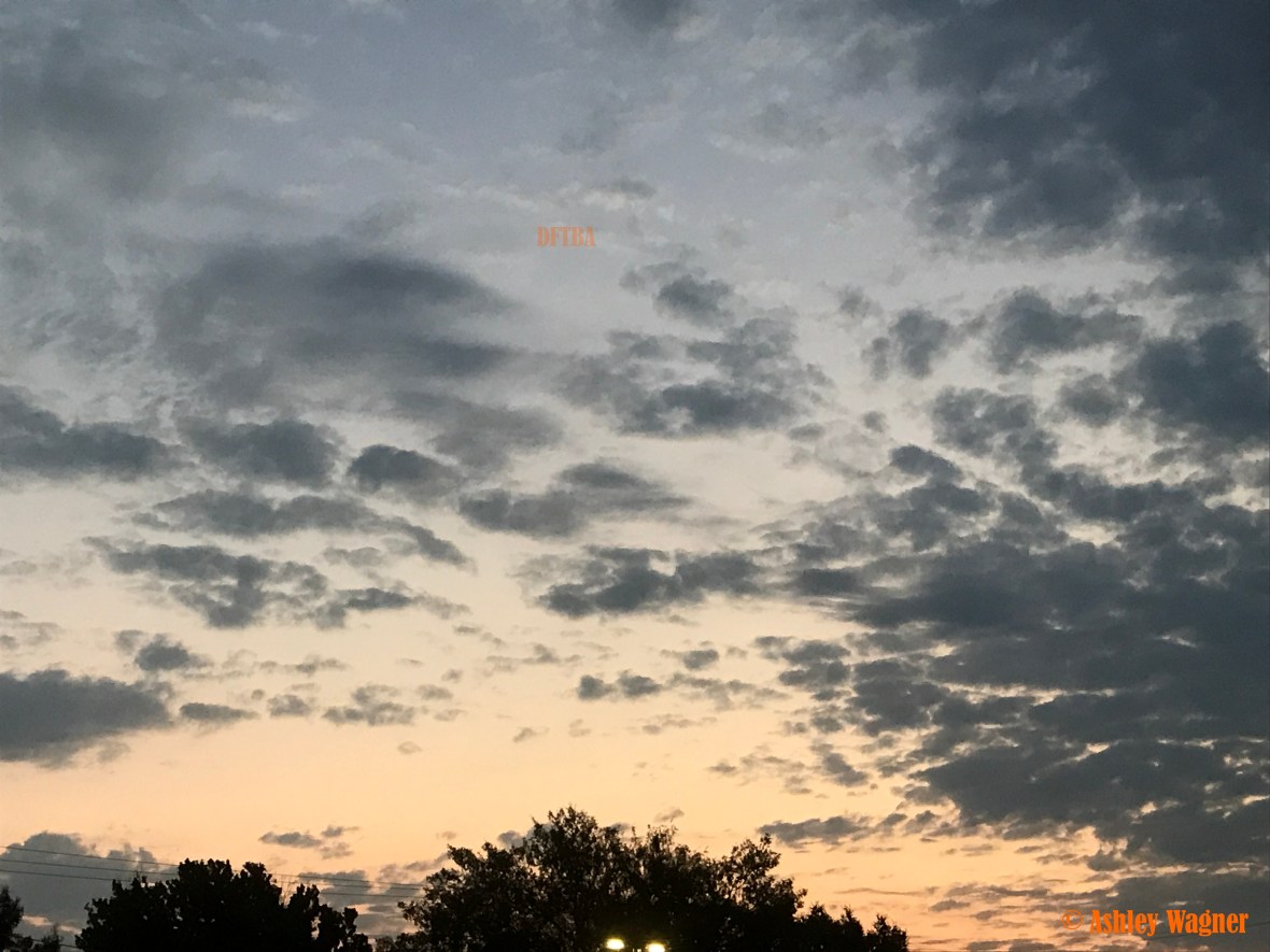 Photo Aug 03, 5 48 01 AM