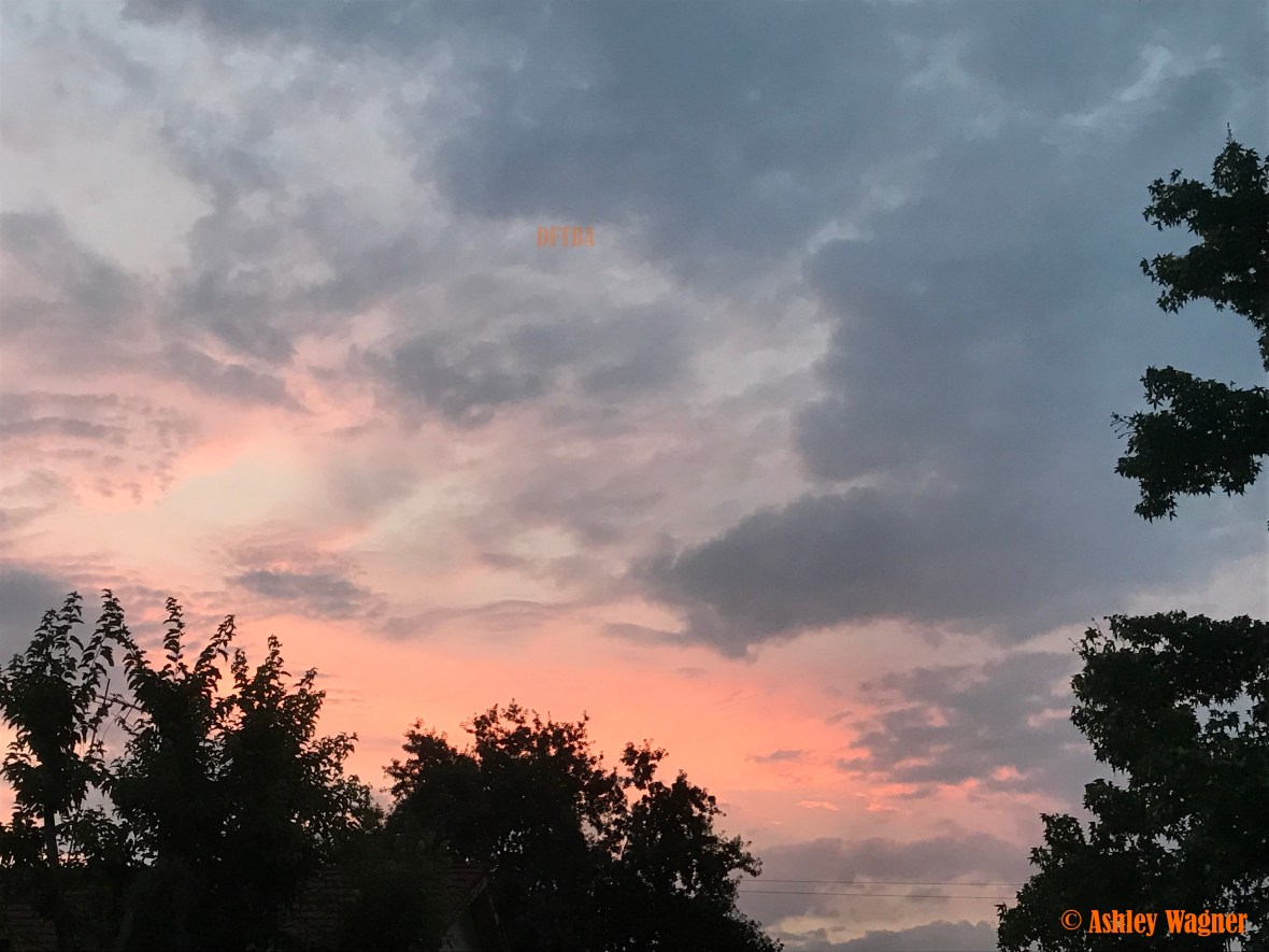 Photo Aug 04, 6 02 09 AM