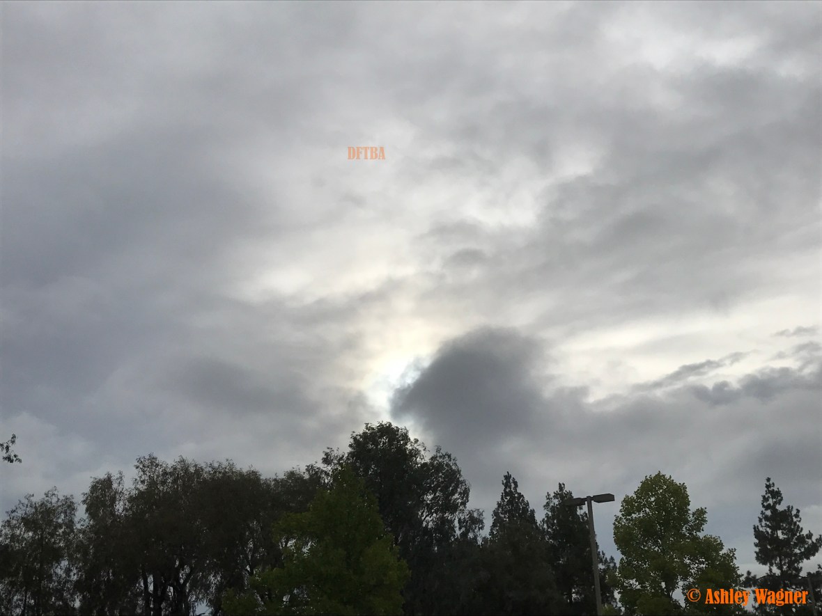 Photo Aug 14, 7 55 54 AM