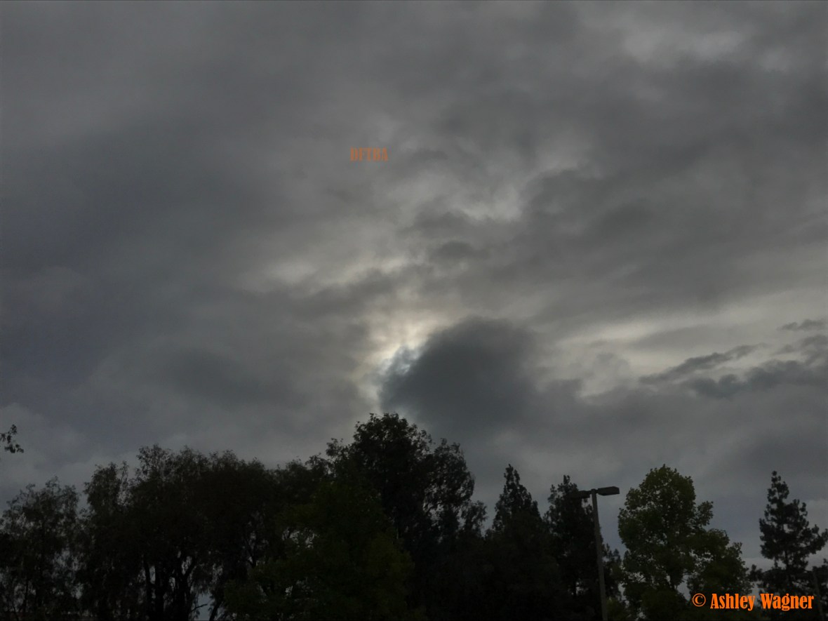 Photo Aug 14, 7 55 57 AM