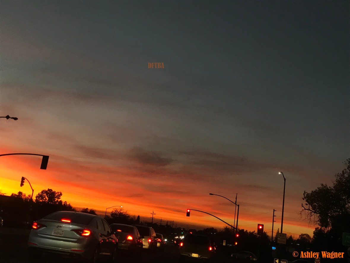 Photo Dec 13, 5 04 10 PM