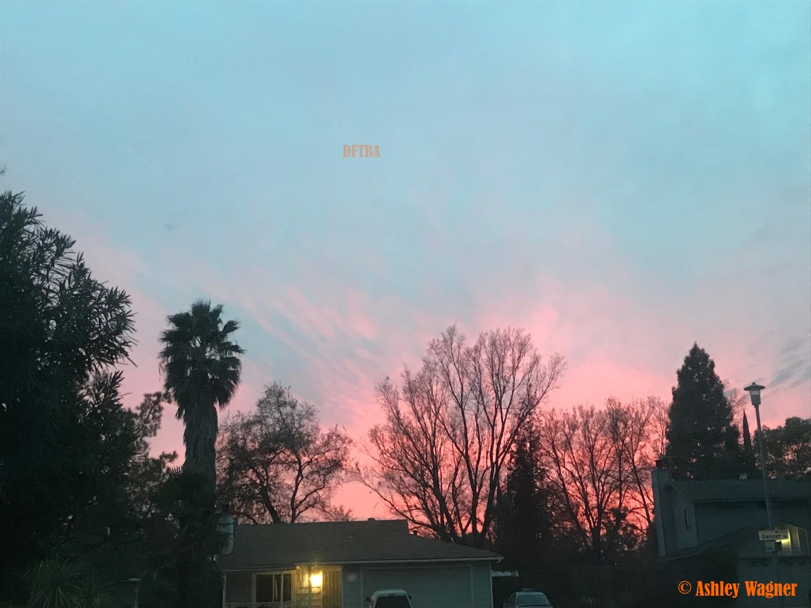 Photo Dec 15, 4 59 48 PM