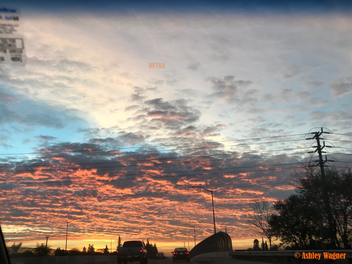 Photo Dec 19, 7 12 01 AM