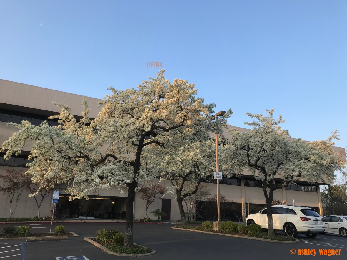 Photo Feb 07, 7 51 08 AM